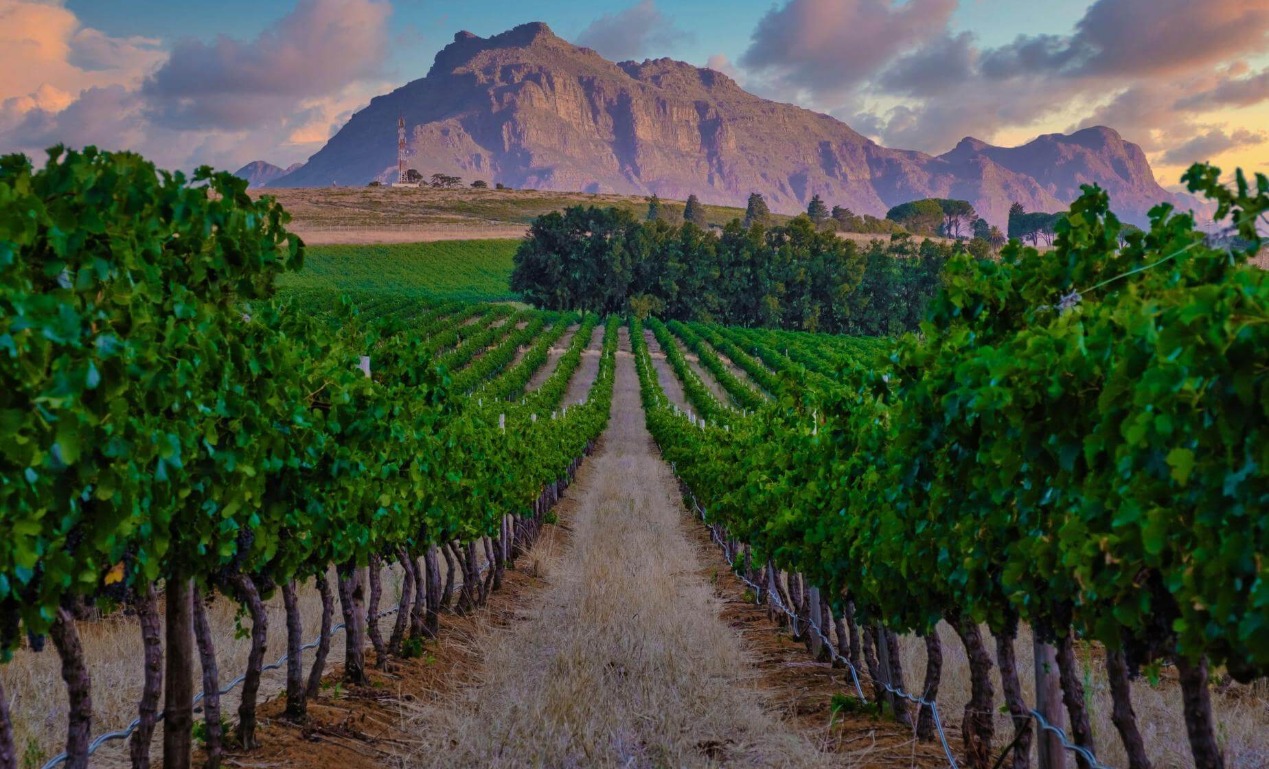South Africa Wine Estate - Hemel-en-Aarde vineyards and wine farms